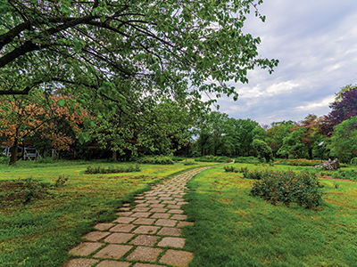 Landscaped-Garden